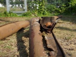 "Löchrige" Dachrinne muss weg....